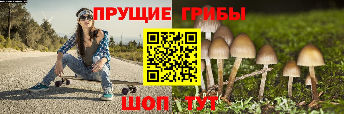 Псилоцибиновые грибы Psilocybe  Вход с VPN  Псилоцибиновые грибы Magic Shrooms  Малоярославец 